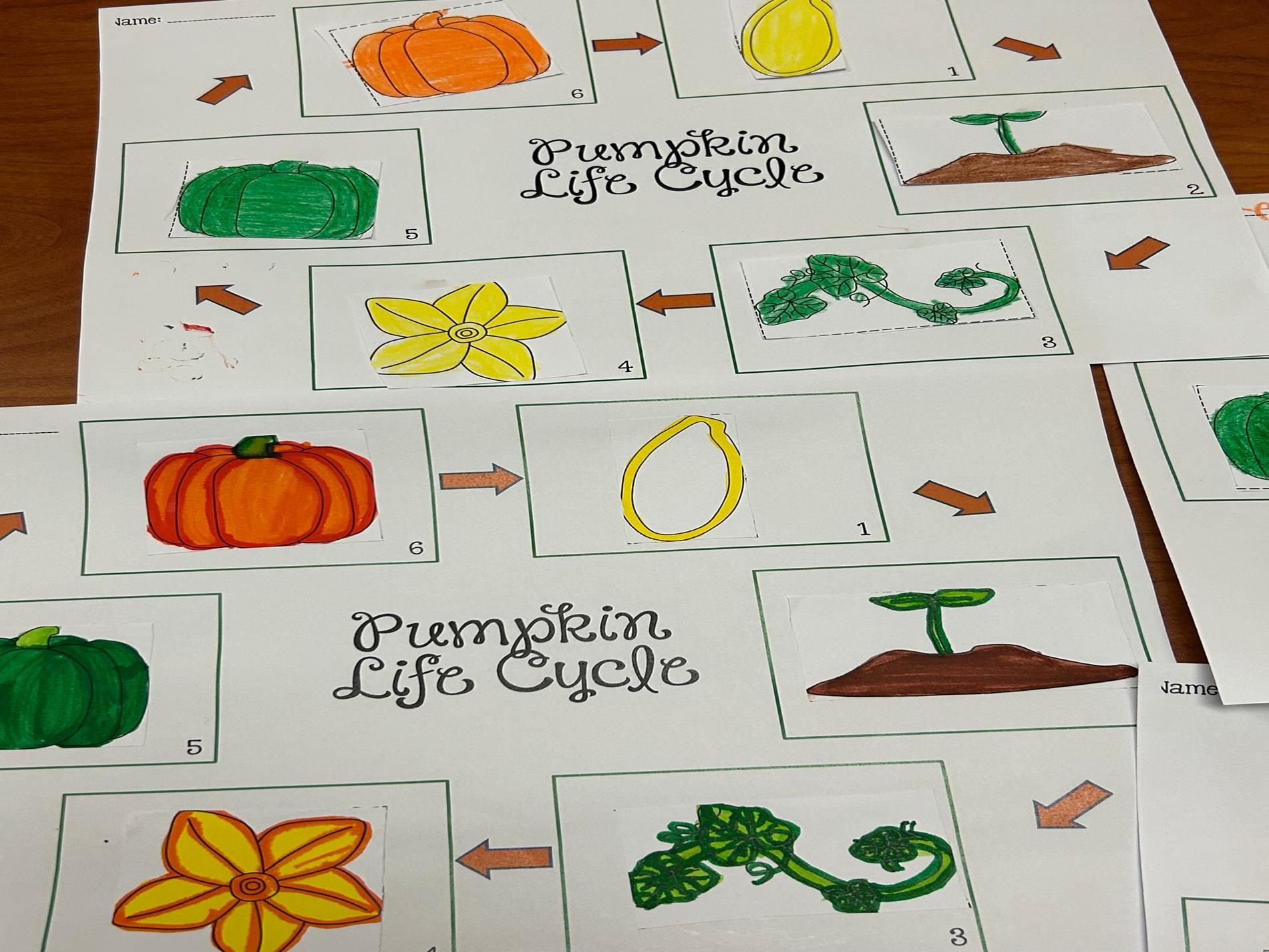 Lifecycle of a Pumpkin presentation